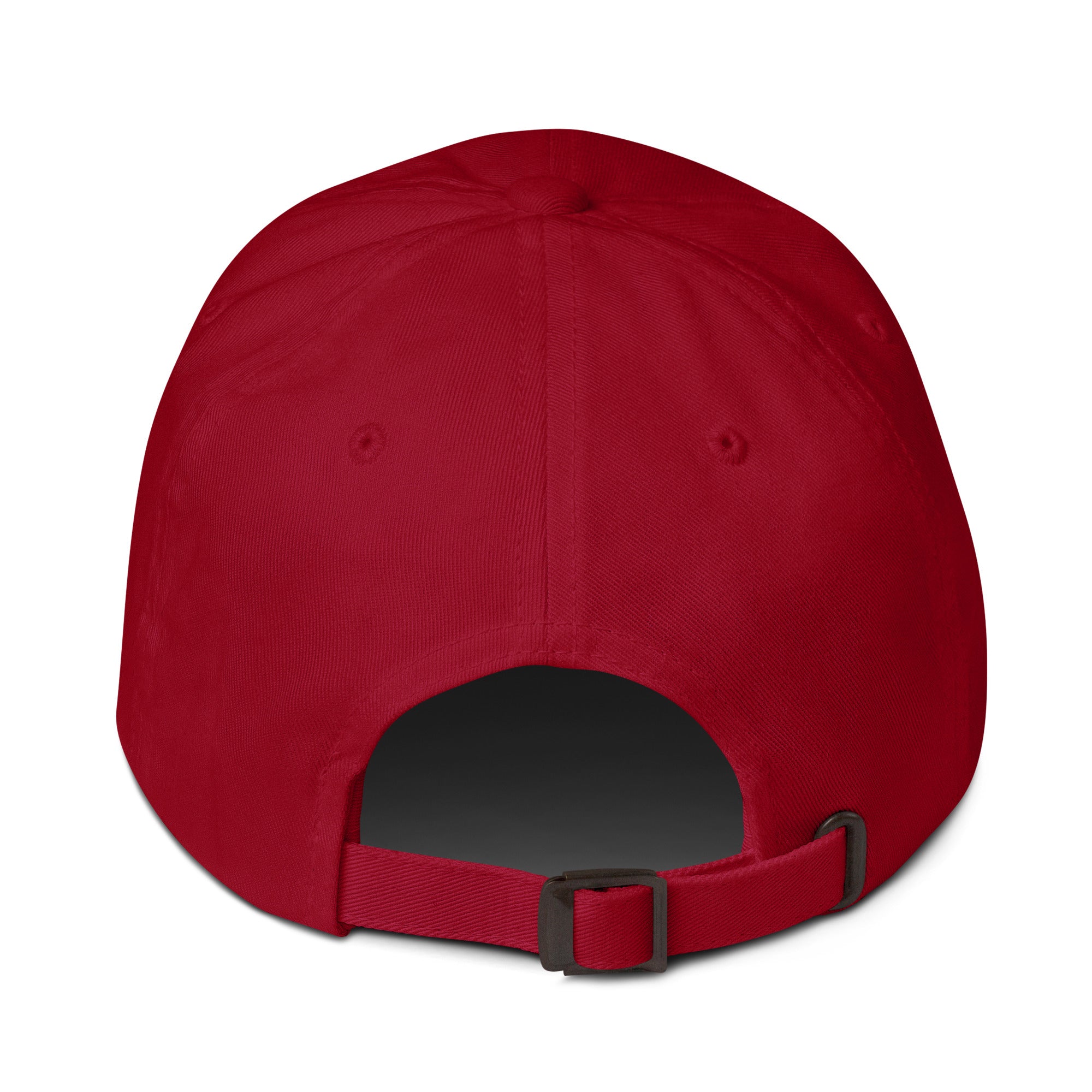 4 Frodo Dad hat