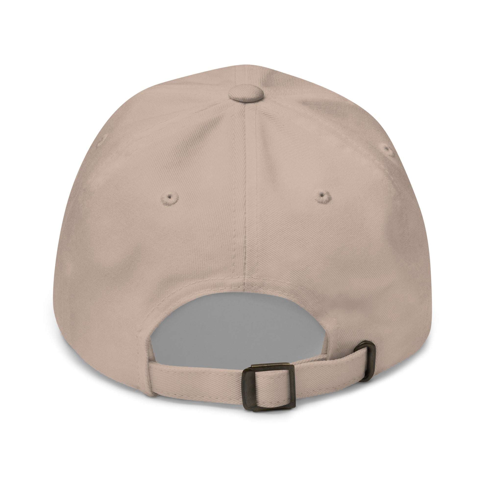 Shiny and Chrome Dad hat