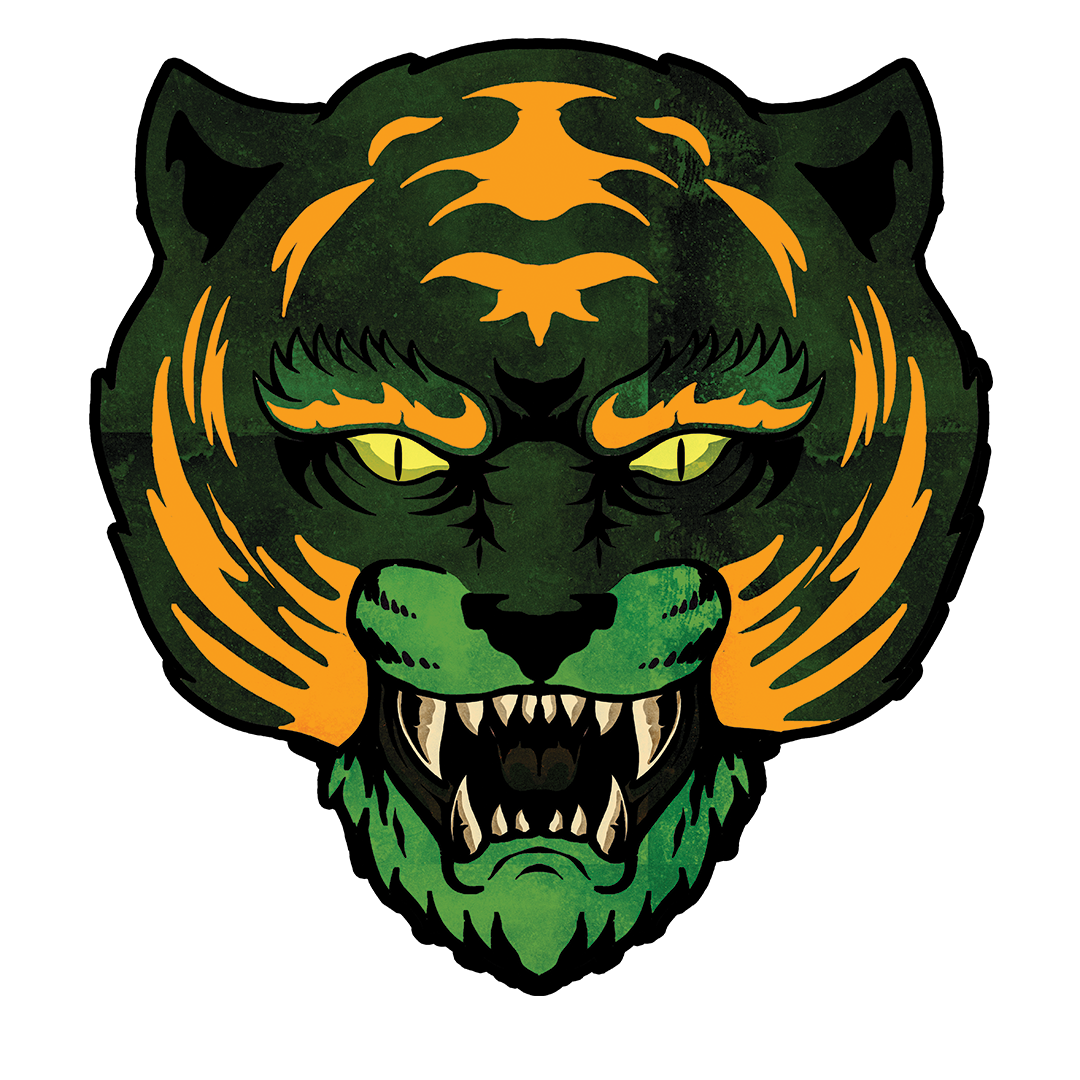 MOTU Inspired Tiger Collection