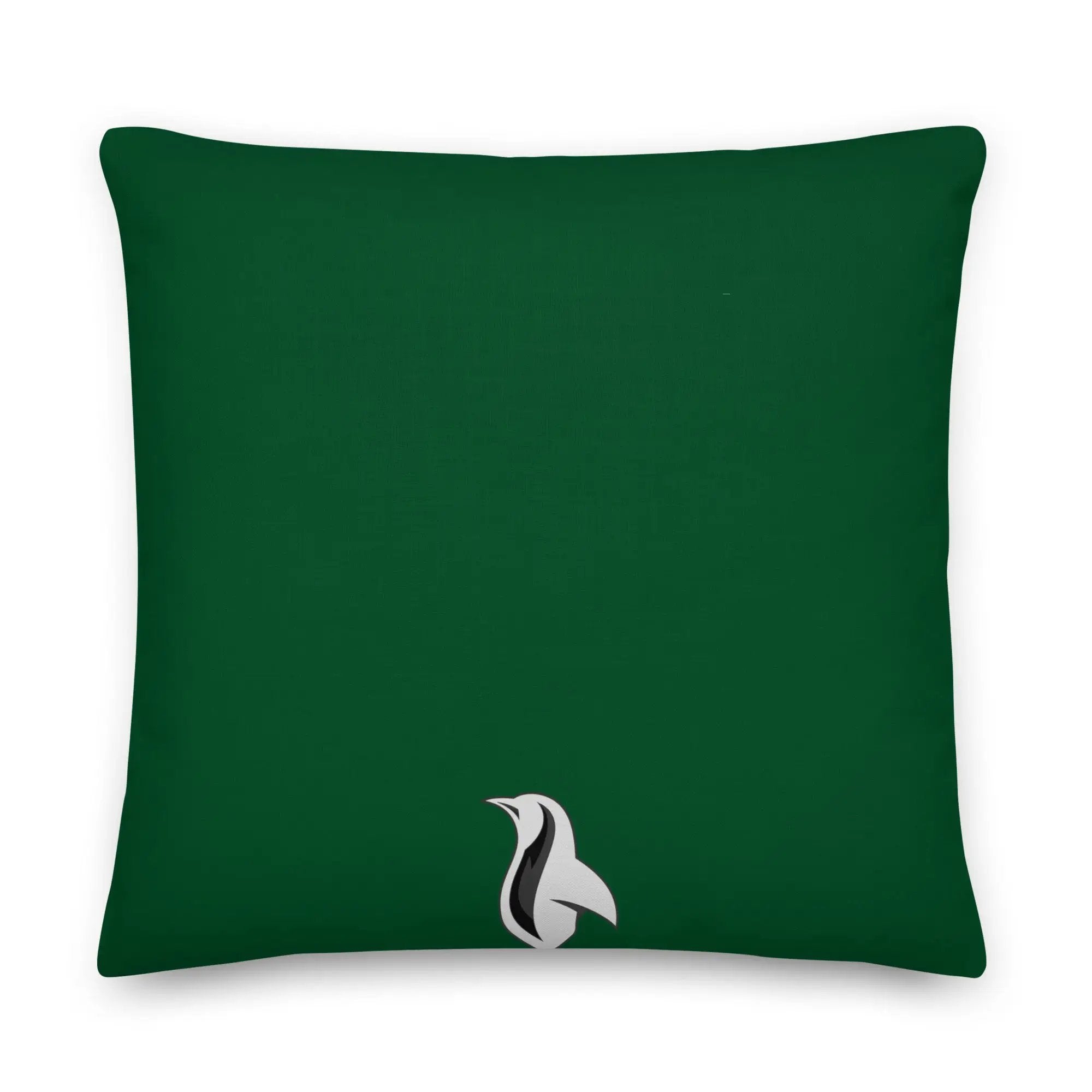 a green pillow with the words you'll shoot your eye out
