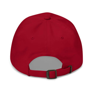 a red baseball cap with a gray visor