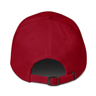 4 Frodo Dad hat