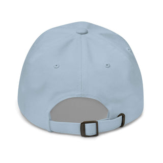 Shiny and Chrome Dad hat