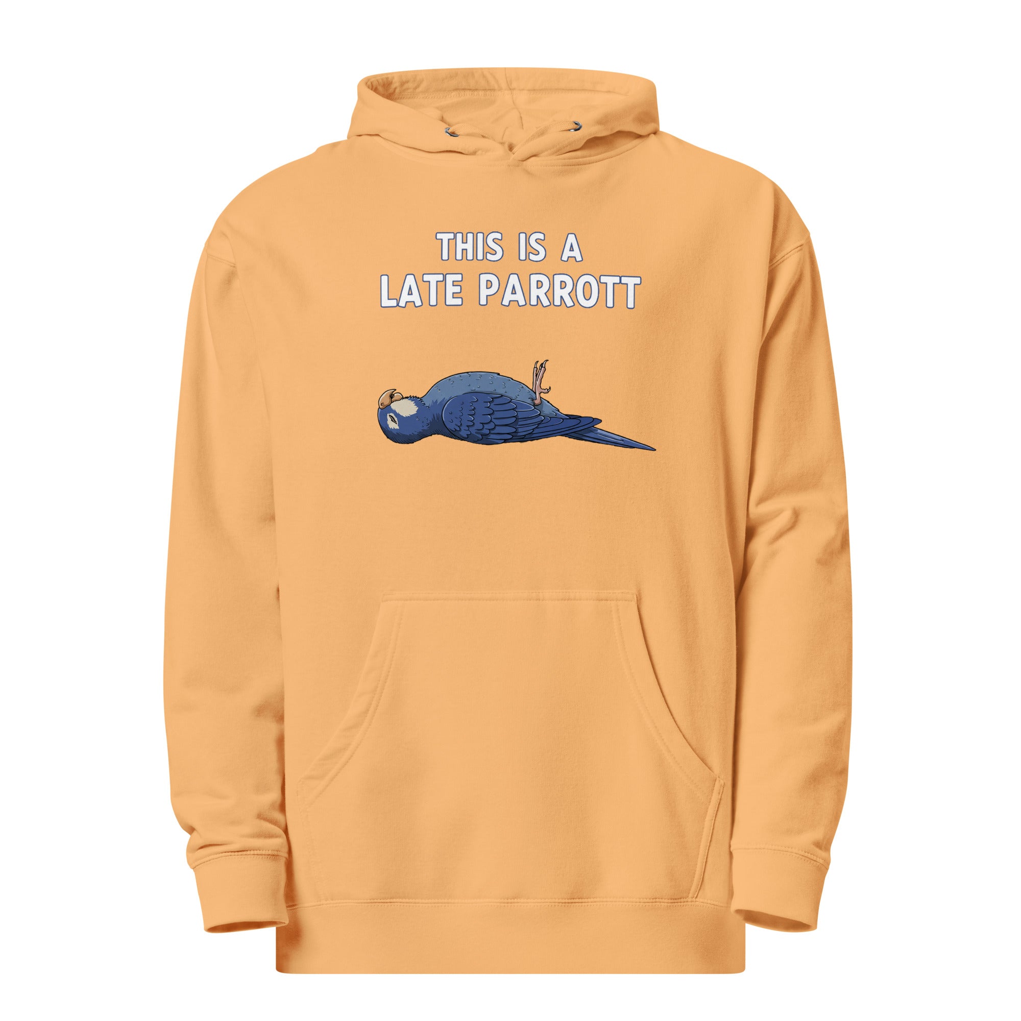 VAWD “This Is a Late Parrot” Hoodie